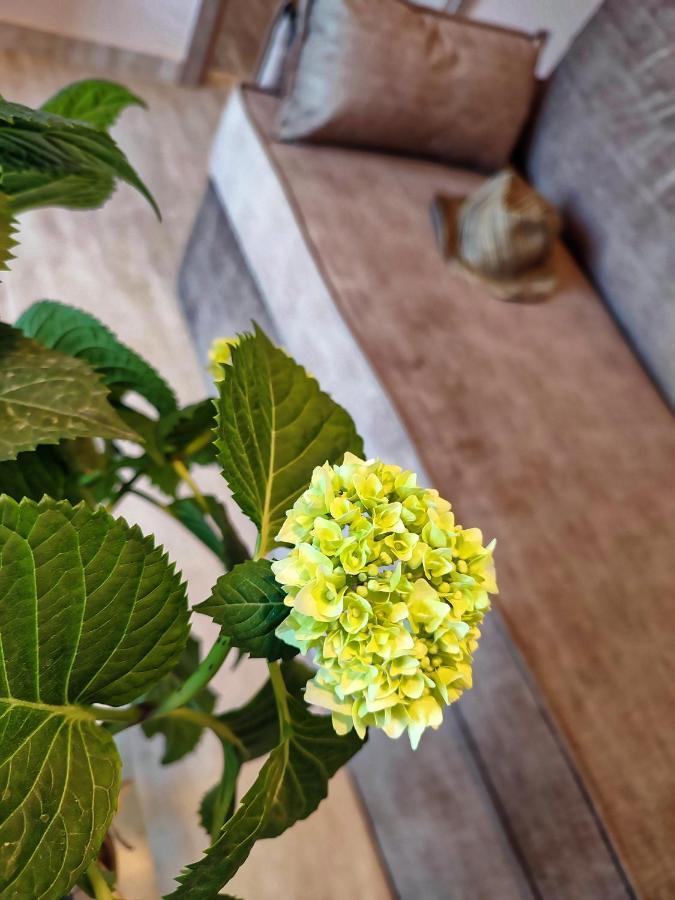 Seaview-Apartments Palaiá Fókaia Екстериор снимка