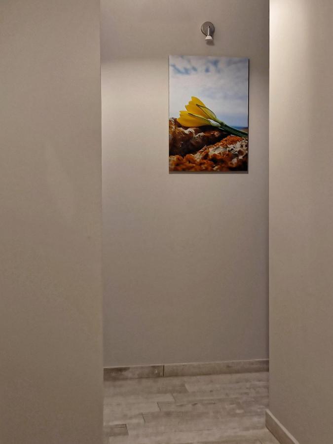 Seaview-Apartments Palaiá Fókaia Екстериор снимка